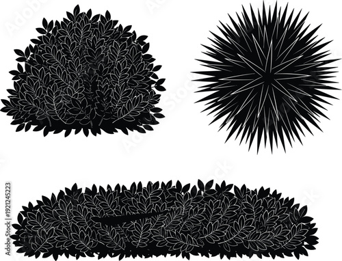 Ornamental bush and spiky shrub silhouette set, garden hedge plants isolated for landscape design, flat vector illustration