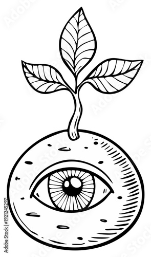 Hand-drawn stylized plant growing from orb with an eye in black ink