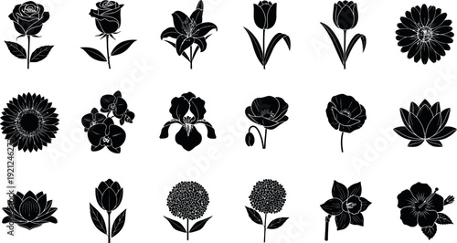 Black and white floral on white background flowers silhouettes 1