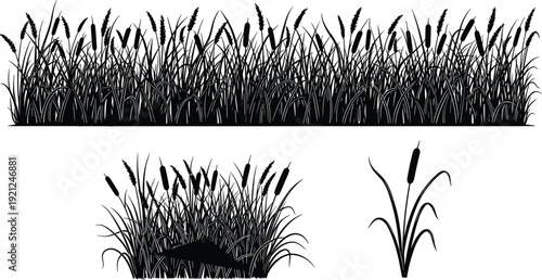 Reed grass silhouette collection set, cattail marsh plants isolated for wetland landscape design, flat vector illustration nature clipart