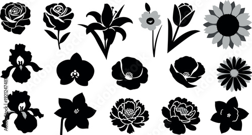 Black and white floral silhouettes flowers gray