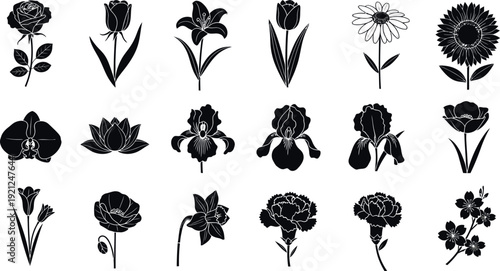 Black and white floral silhouettes of various flowers background
