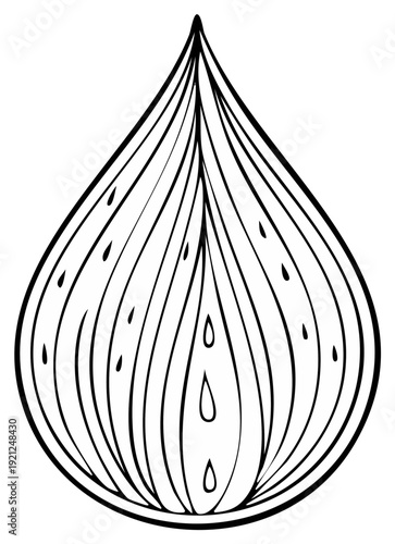 Ink drawing of a stylized fruit section with internal lines and droplets