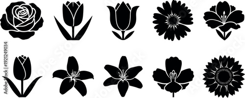 Black and white flower including rose tulip lily daisy sunflower flowers