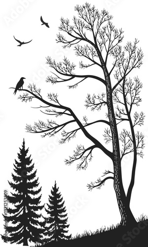 Silhouettes of trees and birds in a serene natural landscape.
