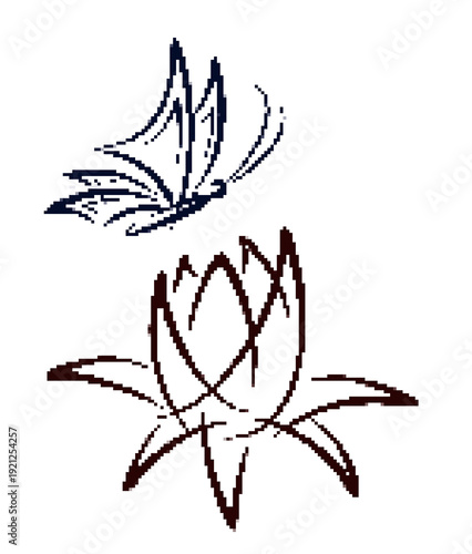 The blossoming lotus with the flying butterfly.