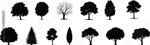 trees, silhouettes, collection, forest, nature, plants, outline, black, icons, set, oak, pine, cypress, park, landscape, isolated, botanical, illustration, design, pack