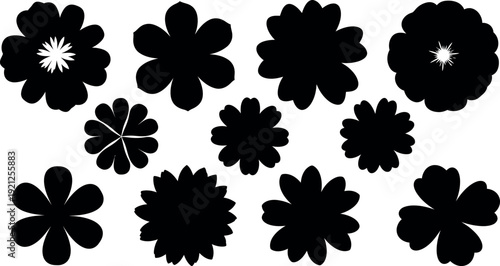 Black flowers on white background petals