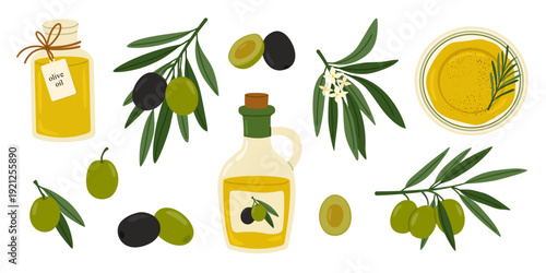 Olive set with tree branches, black and green olives, jar and bottle of olive oil, plate with rosemary oil. Mediterranean food great for culinary, health projects. Flat vector illustration.