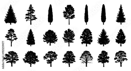 tree silhouettes collection a versatile set of diverse tree types for nature and landscape design graphic elements.