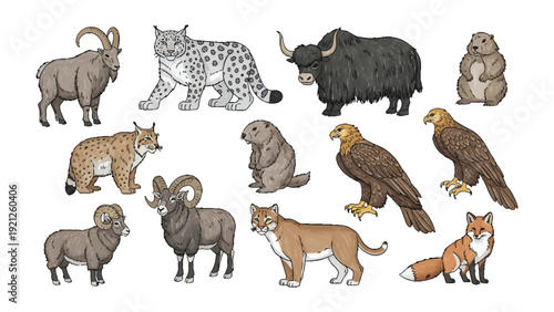 Wildlife Compilation: A vibrant collection of majestic wildlife portraits, showcasing diverse species, perfect for wildlife enthusiasts, and natural history lovers. 