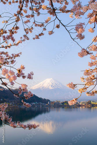 Fuji Mountain and Pink Sakura Branches at Kawaguchiko Lake in Spring, Japan