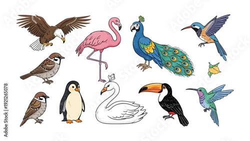 Avian Paradise: A vibrant assembly of birds in full display, showcasing a variety of species. From the eagle's flight to the flamingo's grace.