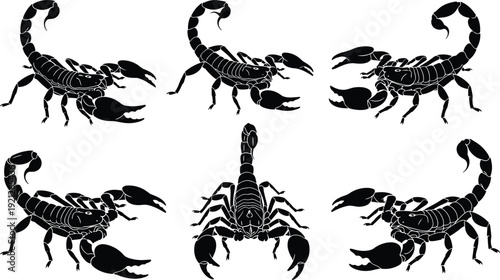 Black Scorpion Silhouette Vector Set, Arachnid Predator Icons With Deadly Stinger And Claws For Tattoo Design, Dangerous Desert Insect Illustration