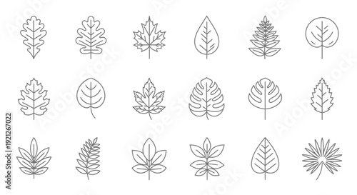 Simple Line Art Leaf Icons Set