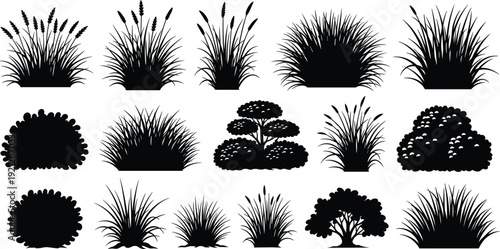 Garden plants and bush silhouettes collection with decorative shrubs, grasses and trees isolated landscaping set, flat vector illustration