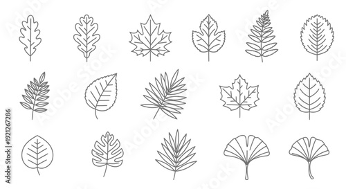 Set of Hand Drawn Leaf Icons