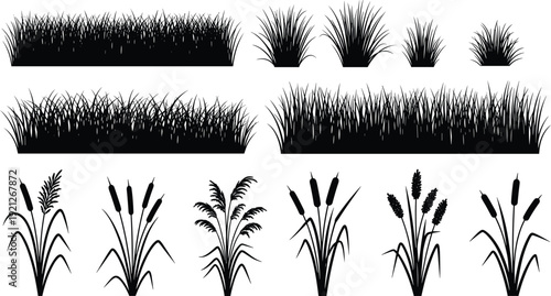 Grass border and cattail reed silhouettes collection, meadow marsh plants isolated for landscape design, flat vector illustration