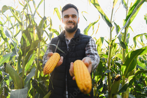 Konstfotografi Farmer man showing fresh corn harvest from field