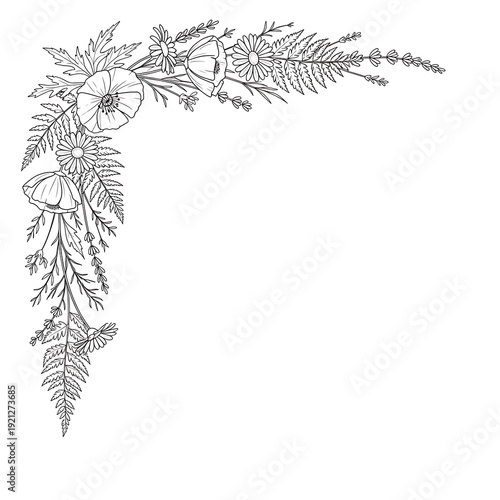 Hand-drawn line art corner of wildflowers and ferns