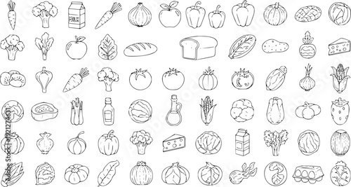 collection of food vector illustrations