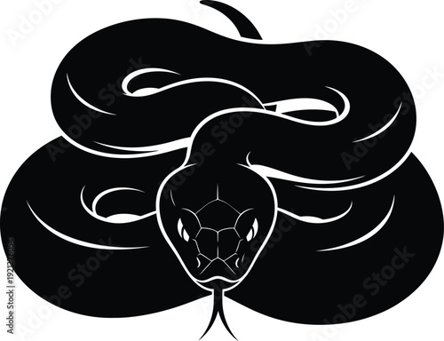 A black snake coiled up and staring forward with an intense gaze