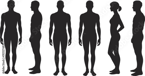 Male and Female Silhouettes in Different Poses and Views on White Background Keywords: male, female, silhouette, human, person