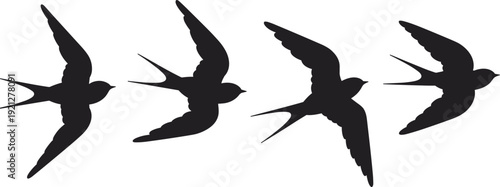Flying swallow bird silhouettes set, graceful winged spring wildlife collection isolated on white background, flat vector illustration