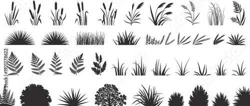 Forest grass, fern and shrub silhouettes collection set, meadow garden plants isolated for landscape design, flat vector illustration