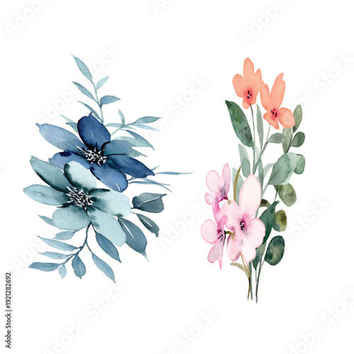  illustrations are typically presented on a transparent background,