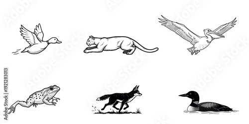 Black and white illustrations of various animals in motion
