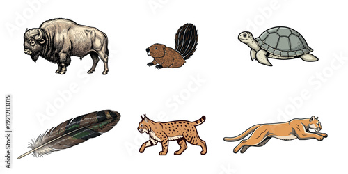 Diverse animal illustrations