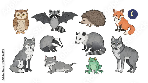 Nocturnal Wildlife Illustration: A captivating illustration showcases a collection of nocturnal creatures in a cohesive artistic style, perfect for educational materials, design projects.