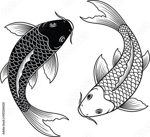 Two koi fish swimming in a circular pattern, vintage japanese style carp illustration for zen decor, oriental nature aquatic graphics