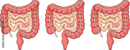 Abstract red and white background with waves and water drops featuring a dragon and seahorse illustration design