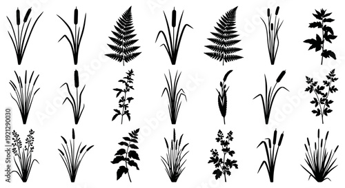 wetland plant silhouettes collection featuring diverse wild flora including cattails ferns and various grasses for nature illustration design.