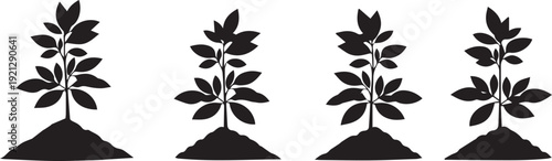 Silhouette of four plants with triangular bases and leafy stems