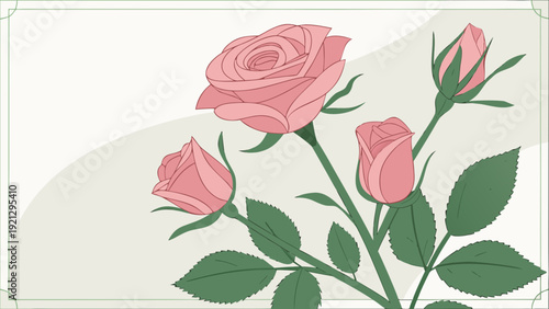 pink rose background