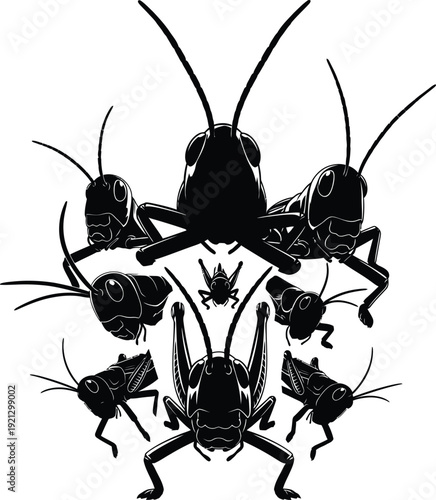 Symmetrical silhouette of multiple cockroaches