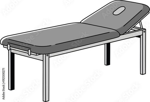 Professional massage therapy bed adjustable foldable salon spa treatment table equipment vector