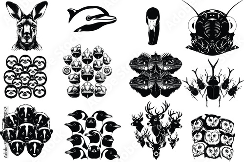 Insect and animal illustrations