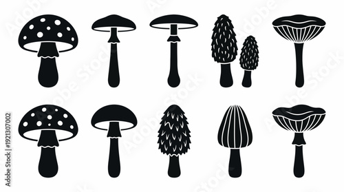 Mushroom Silhouette Vector Set – Black Fungi Icons in Stylized Shapes for Nature Graphics, Botanical Crafts, and Forest-Themed Design Projects
