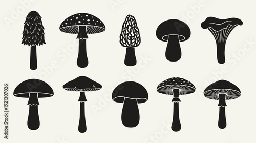 Mushroom Silhouette Vector Set – Black Fungi Icons in Stylized Shapes for Nature Graphics, Botanical Crafts, and Forest-Themed Design Projects