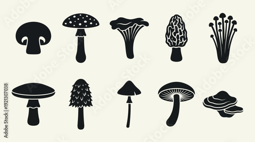Mushroom Silhouette Vector Set – Black Fungi Icons in Stylized Shapes for Nature Graphics, Botanical Crafts, and Forest-Themed Design Projects