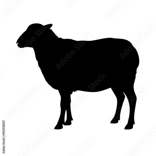 Cute Sheep Silhouette Vector - Fluffy Lamb Farm Animal Standing Front View Graphic