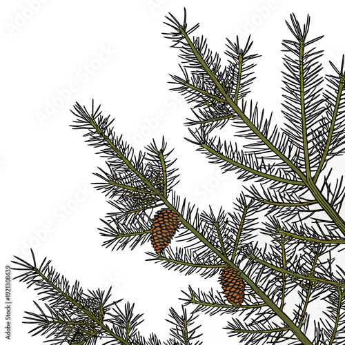 Pine cones on a snowdusted branch against a bright white sky.