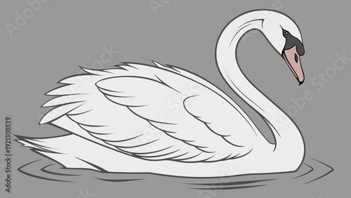 Elegant white swan gracefully swimming on calm water.