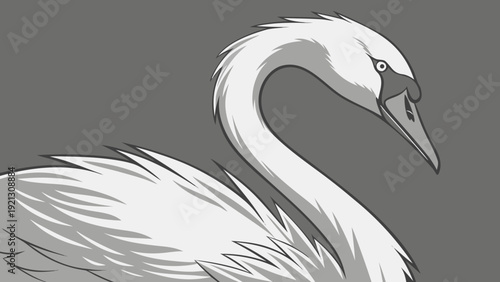 Elegant White Swan Portrait with Graceful Neck and Feathers.