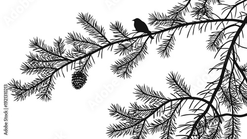 Silhouette of a small bird perched on a pine branch with a pinecone.