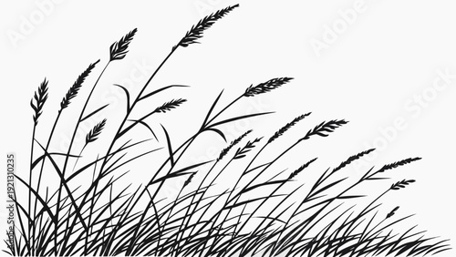 Silhouette of tall grass swaying in the wind a natural and serene outdoor scene.